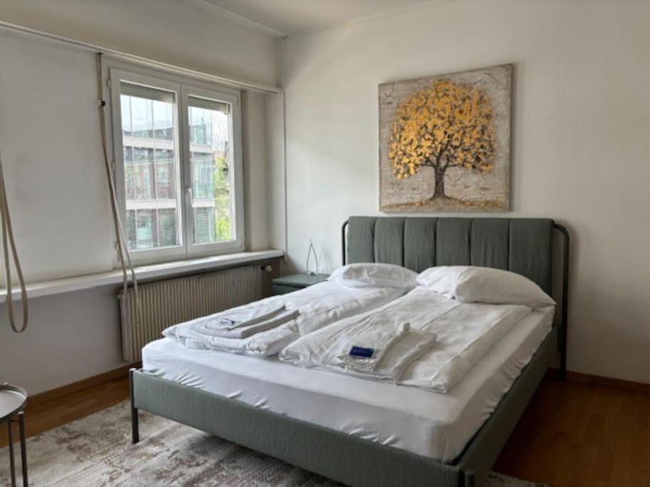 Very Central Studio Near Lake - Cross 2 زيورخ المظهر الخارجي الصورة